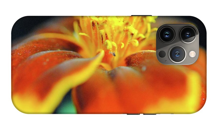 Marigold With Pollen - Phone Case