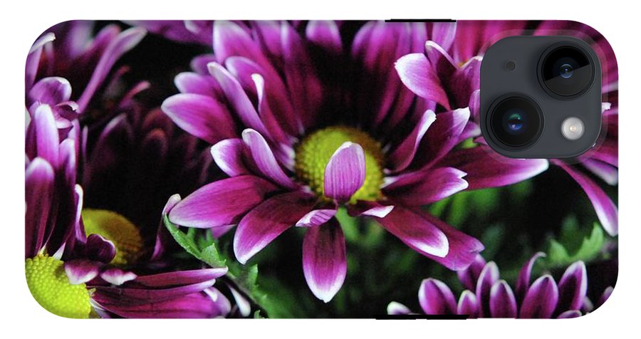 Maroon and White Mums - Phone Case