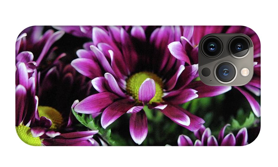 Maroon and White Mums - Phone Case