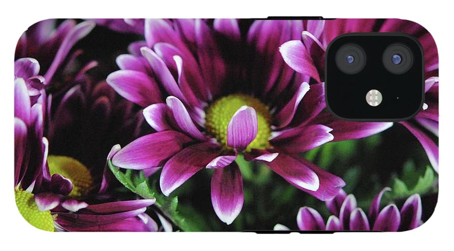 Maroon and White Mums - Phone Case