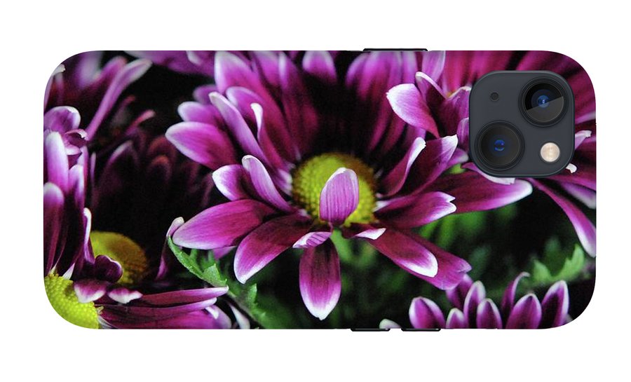 Maroon and White Mums - Phone Case