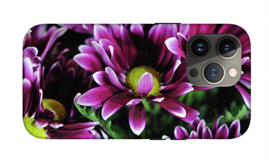 Maroon and White Mums - Phone Case