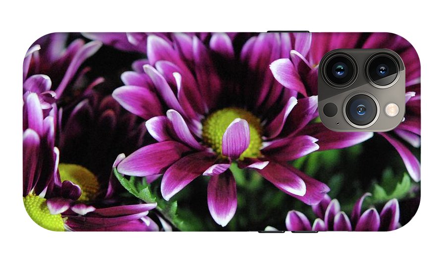 Maroon and White Mums - Phone Case