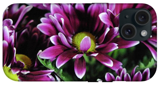 Maroon and White Mums - Phone Case