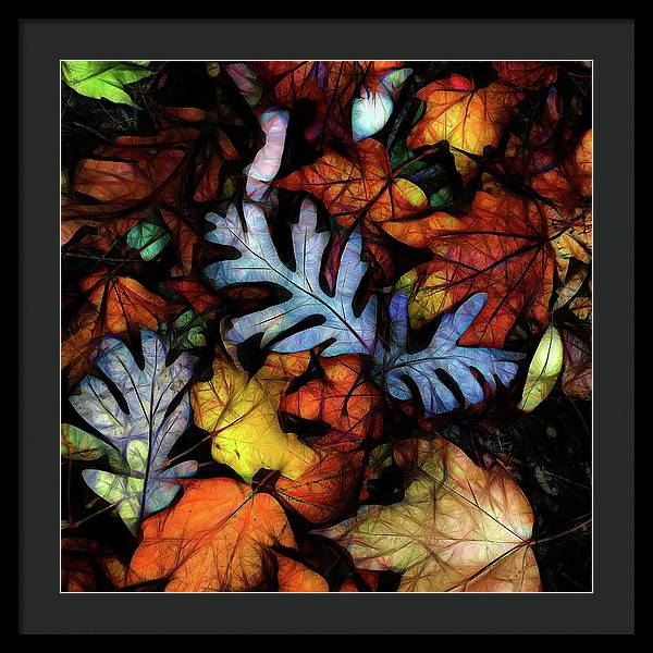 Mid October Leaves 1 - Framed Print