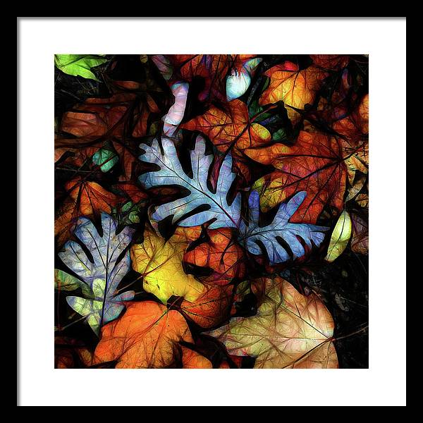 Mid October Leaves 1 - Framed Print