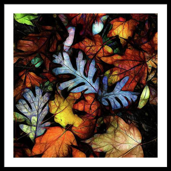 Mid October Leaves 1 - Framed Print