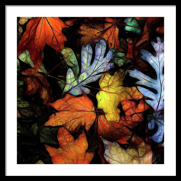 Mid October Leaves 2 - Framed Print