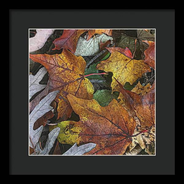 Mid October Leaves 3 - Framed Print