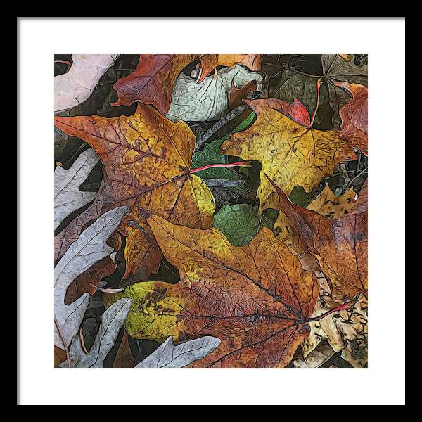 Mid October Leaves 3 - Framed Print