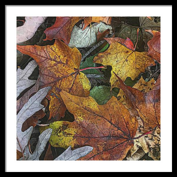 Mid October Leaves 3 - Framed Print