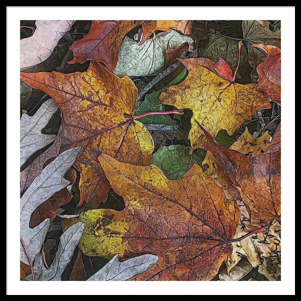 Mid October Leaves 3 - Framed Print