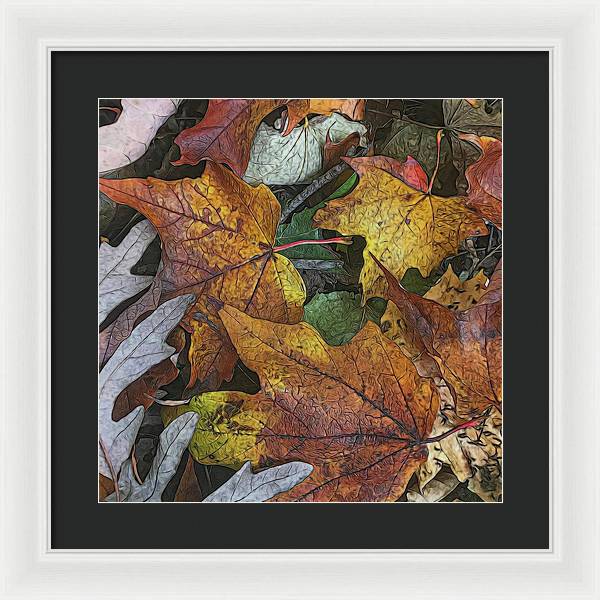 Mid October Leaves 3 - Framed Print