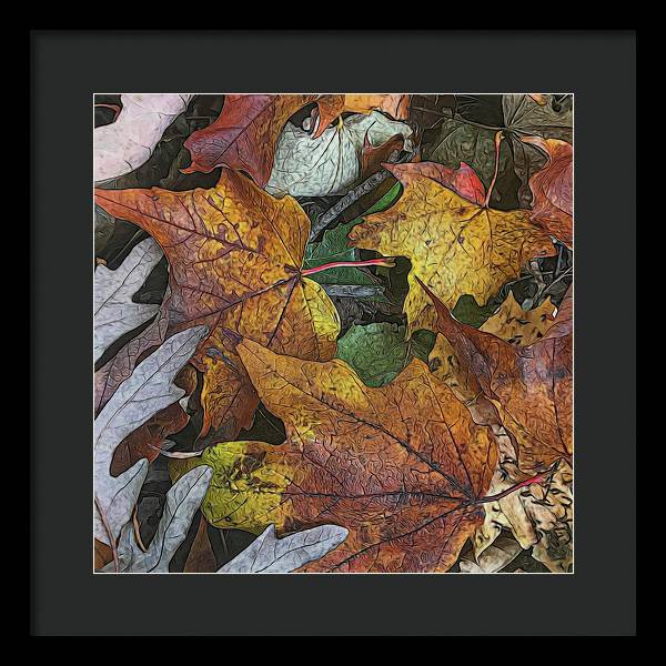 Mid October Leaves 3 - Framed Print