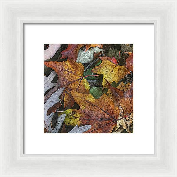 Mid October Leaves 3 - Framed Print