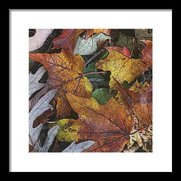 Mid October Leaves 3 - Framed Print
