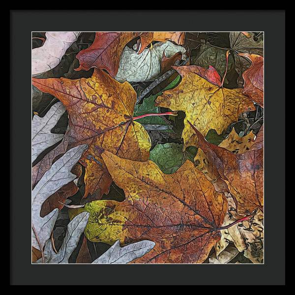Mid October Leaves 3 - Framed Print