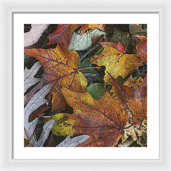 Mid October Leaves 3 - Framed Print