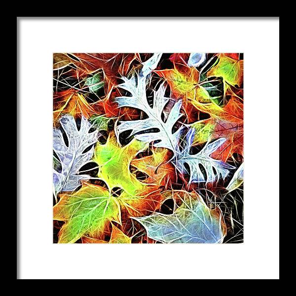 Mid October Leaves 4 - Framed Print