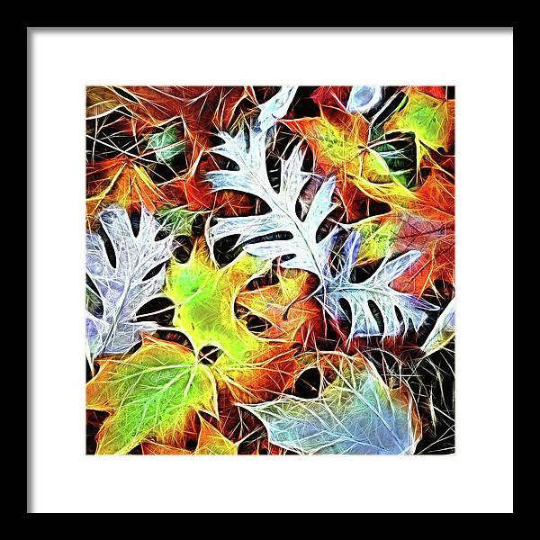 Mid October Leaves 4 - Framed Print