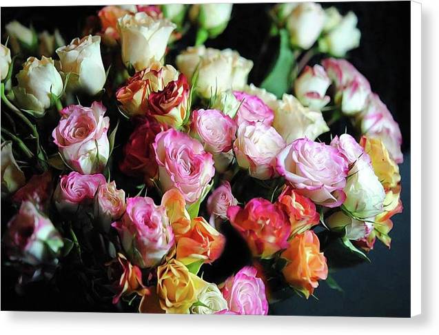 Mini Tea Roses - Canvas Print