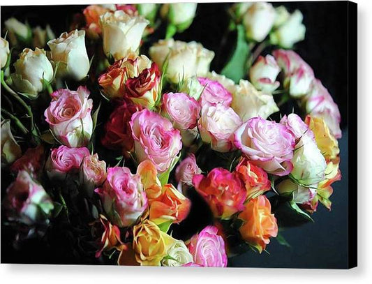 Mini Tea Roses - Canvas Print
