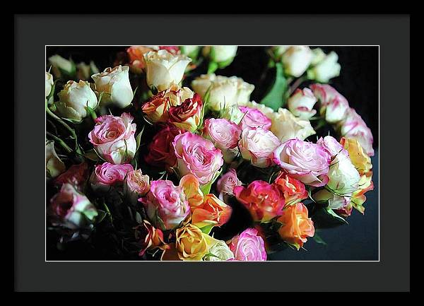 Mini Tea Roses - Framed Print