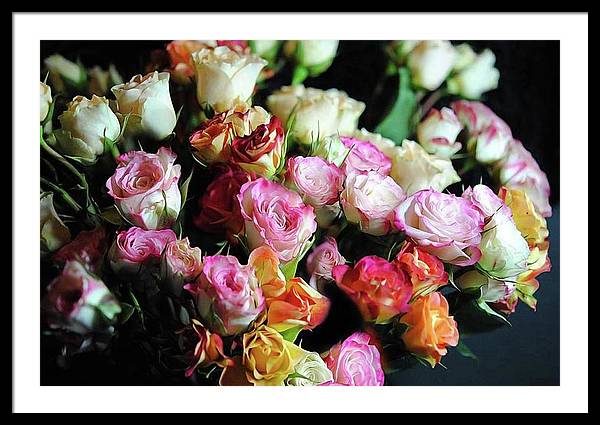 Mini Tea Roses - Framed Print