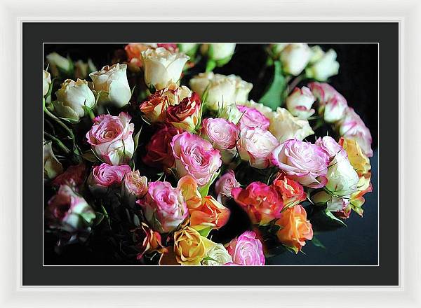 Mini Tea Roses - Framed Print