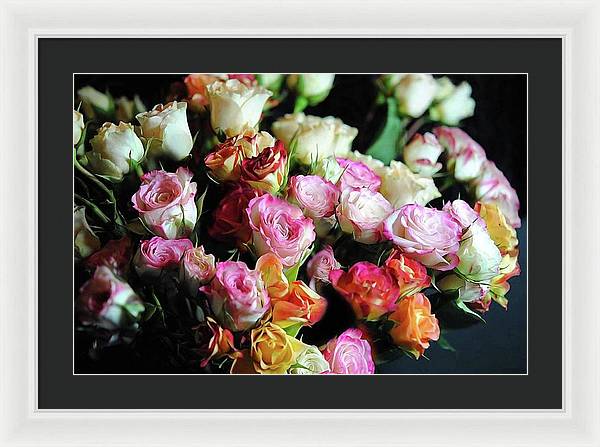 Mini Tea Roses - Framed Print