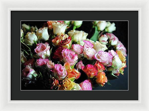 Mini Tea Roses - Framed Print