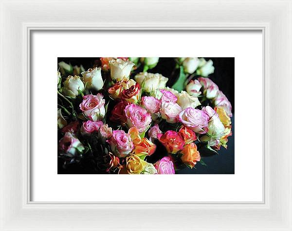 Mini Tea Roses - Framed Print
