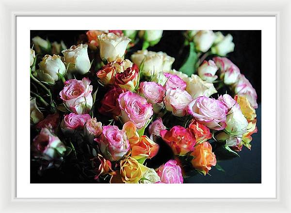 Mini Tea Roses - Framed Print
