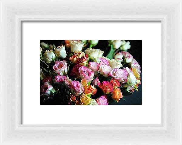 Mini Tea Roses - Framed Print
