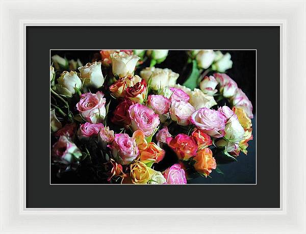 Mini Tea Roses - Framed Print
