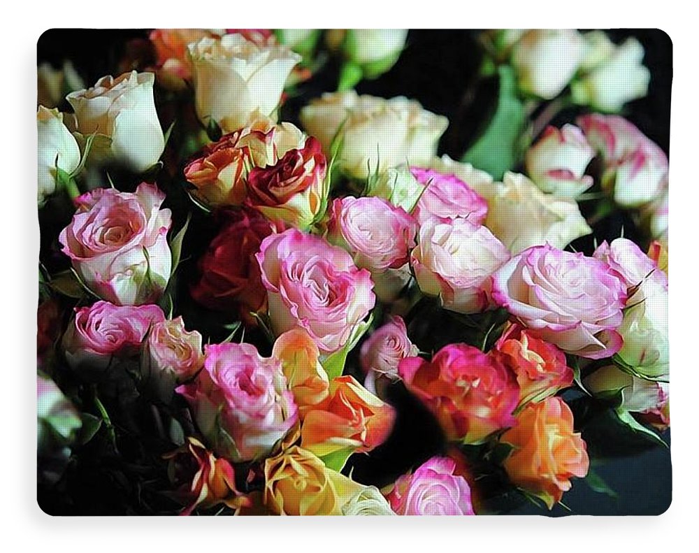 Mini Tea Roses - Blanket