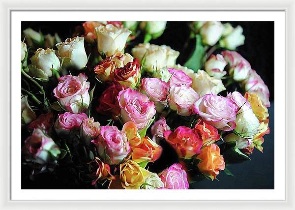 Mini Tea Roses - Framed Print