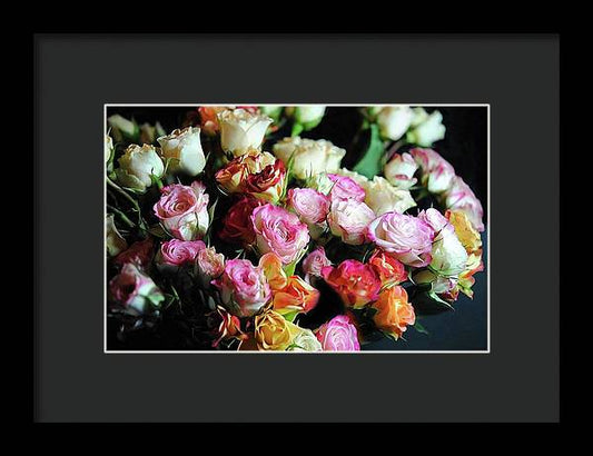 Mini Tea Roses - Framed Print
