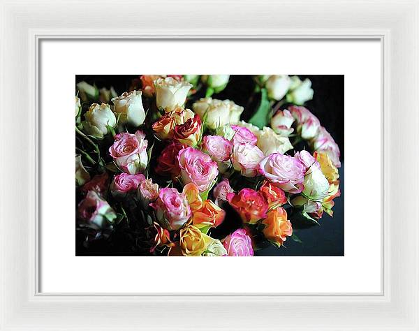 Mini Tea Roses - Framed Print