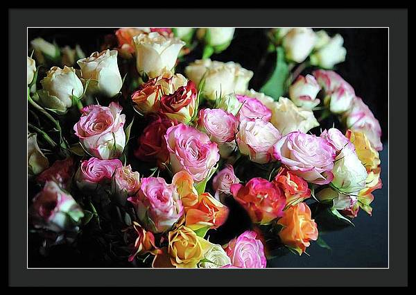 Mini Tea Roses - Framed Print