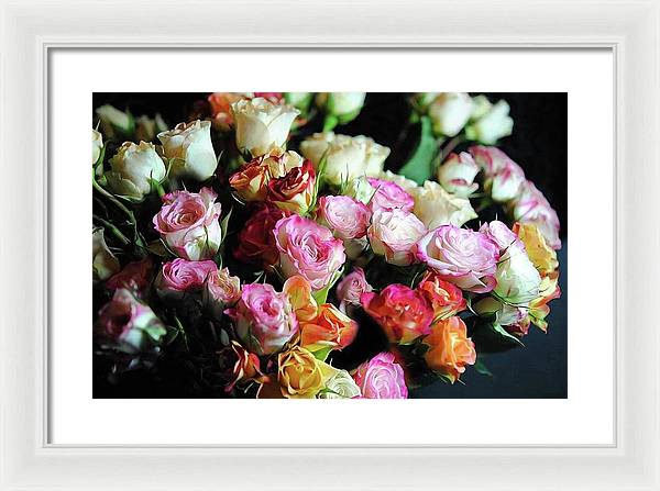 Mini Tea Roses - Framed Print