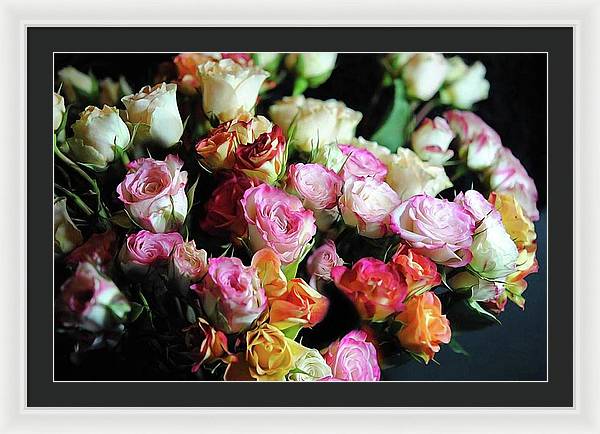 Mini Tea Roses - Framed Print