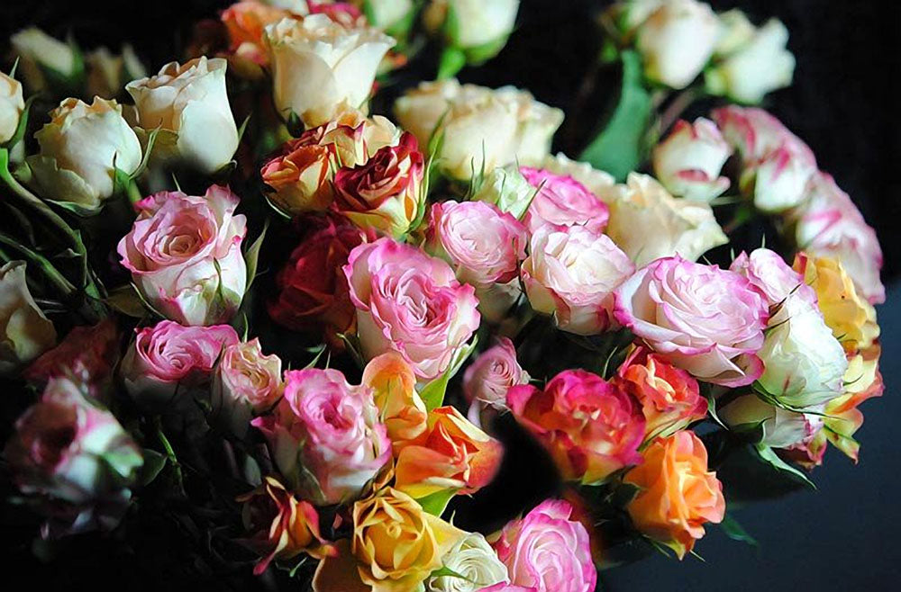 Mini Tea Roses Digital Image Download