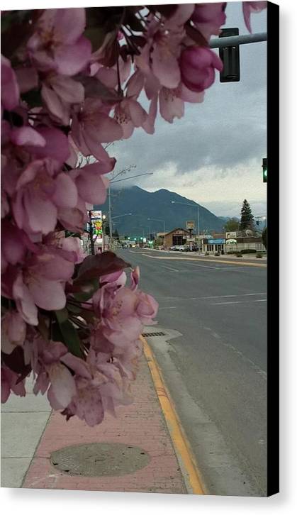 Montana Landscape - Canvas Print