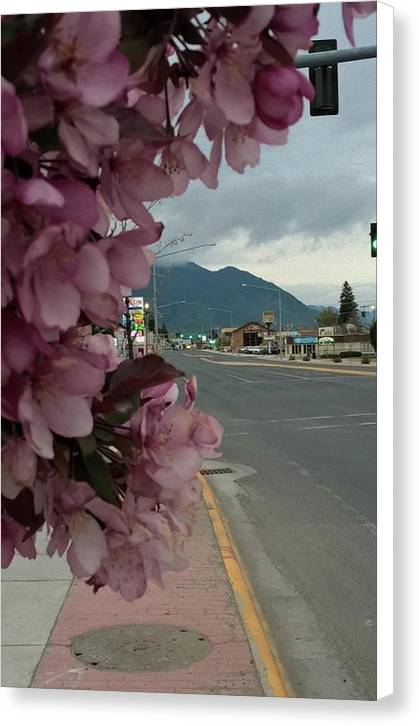 Montana Landscape - Canvas Print