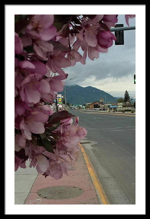 Montana Landscape - Framed Print