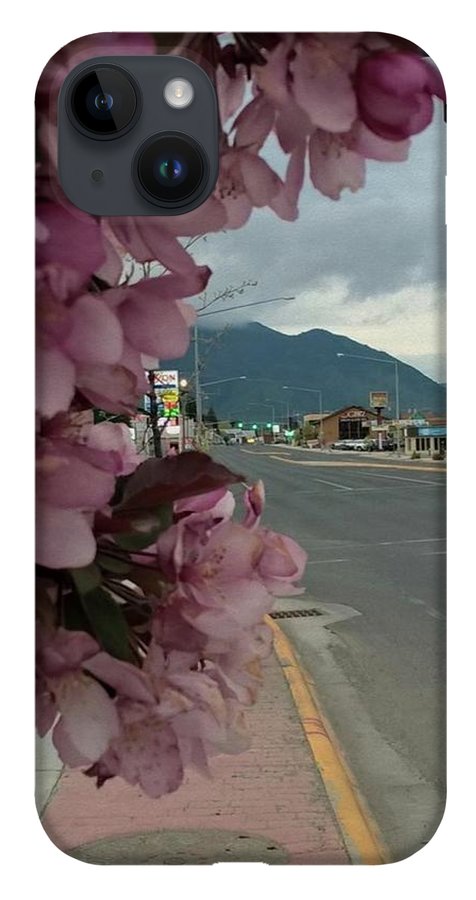Montana Landscape - Phone Case