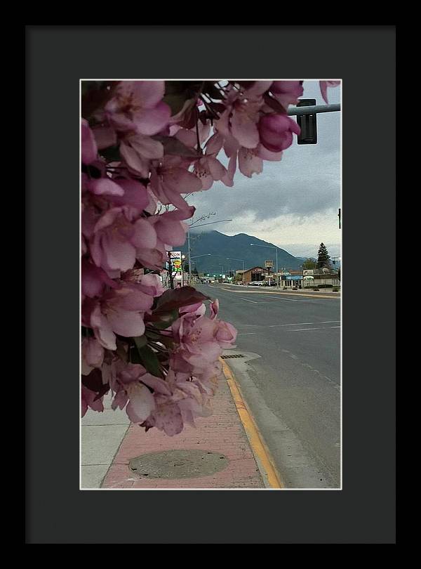 Montana Landscape - Framed Print