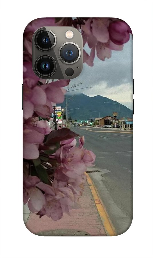 Montana Landscape - Phone Case