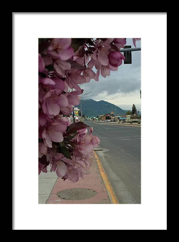 Montana Landscape - Framed Print